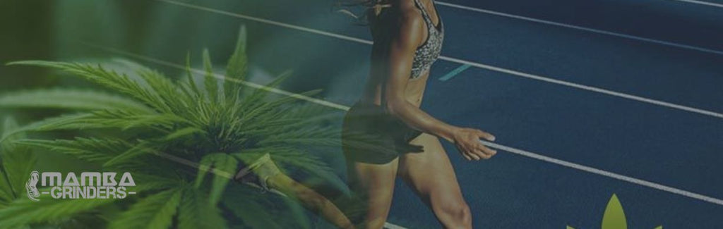 The Impact of Cannabis on Athletic Performance