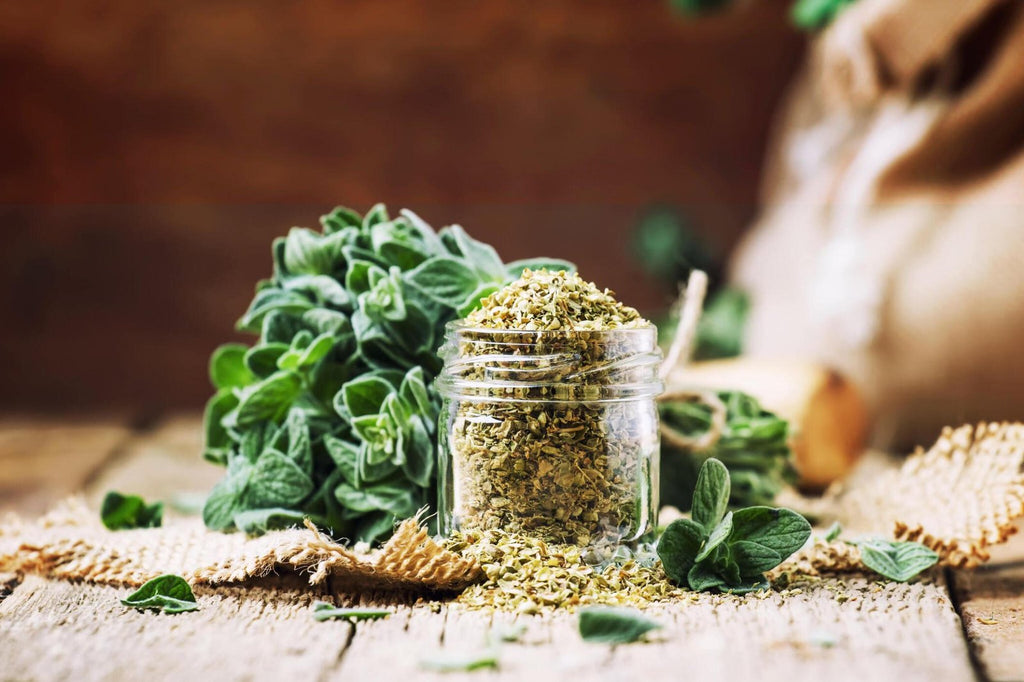 How To Properly Store herbs | Importance of Curing herbs FAQs